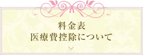 料金表医療費控除について